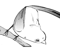 ことり